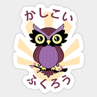 Wise owl Sticker